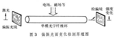  偏振光面變化檢測原理圖